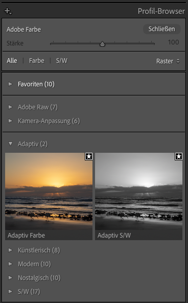 Adaptive Profile in Lightroom Classic