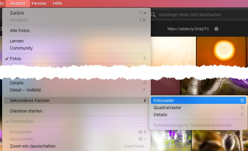 2ten Monitor aktivieren