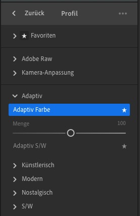 Adaptives Profil in LR