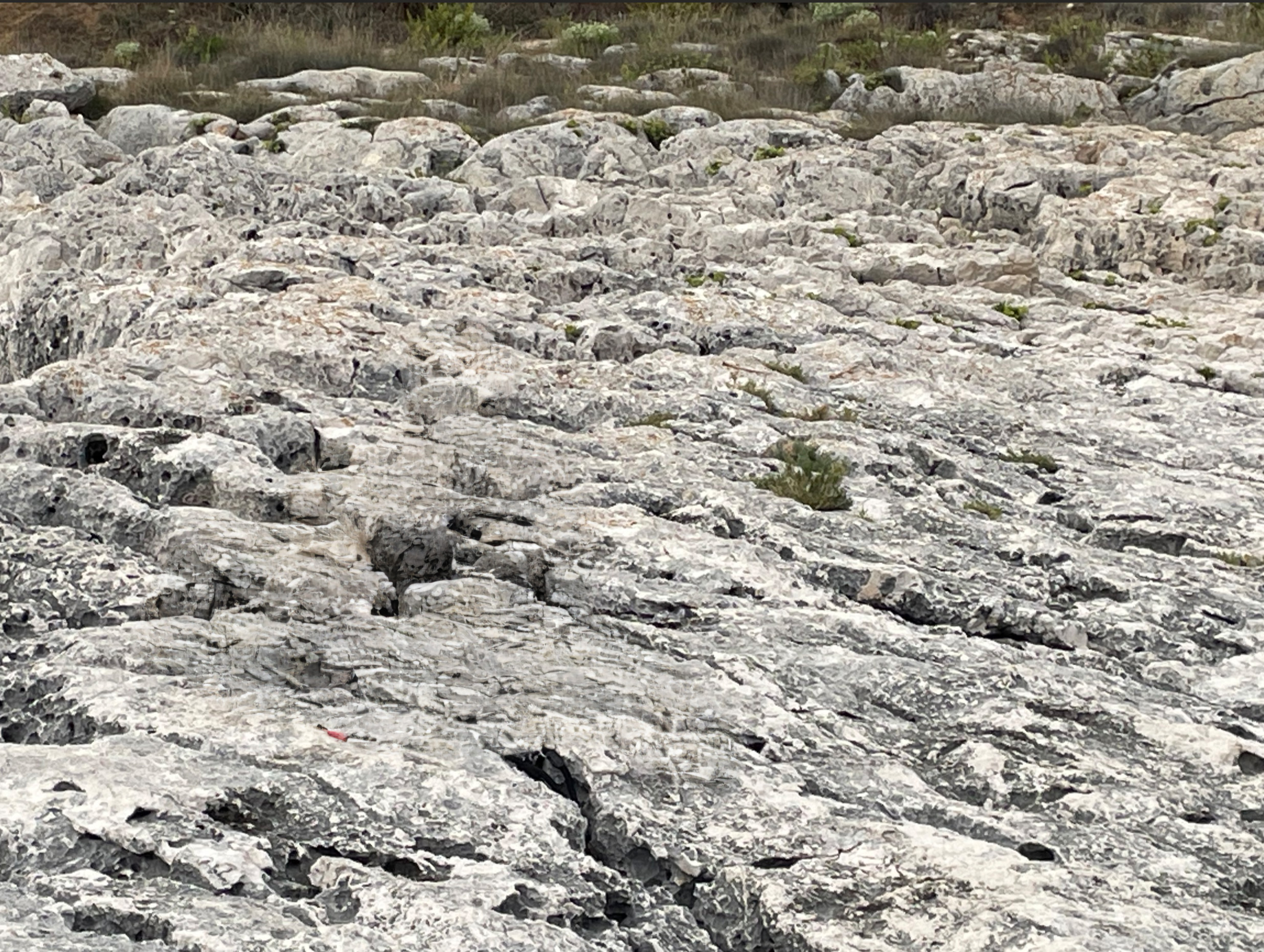 Ergebnis Generatives Löschen in Luminar Neo