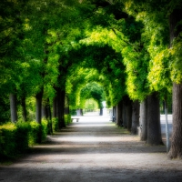 Online-Kurs: Richtig belichten beim Fotografieren