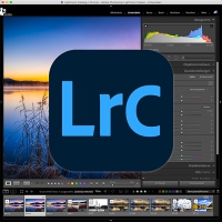 Hybrid-Kurs: Adobe Lightroom Classic: Von der Speicherkarte zum perfekten Foto
