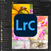 Online-Kurs: Adobe Lightroom intensiv: Lightroom und die CreativeCloud