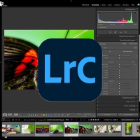 Hybrid-Kurs: Lightroom Classic Aufbaukurs