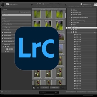 Online-Kurs: Adobe Lightroom intensiv: Importieren und Verwaltung von Fotos