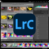 Online-Kurs: Adobe Lightroom intensiv: Metadaten