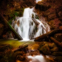 Fotoexkursion: Fotoexkursion: Fließendes Wasser und herbstliche Bäume in der Wolfschlucht (2)
