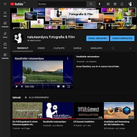 Online-Kurs: Aufbau eines eigenen YouTube Kanals